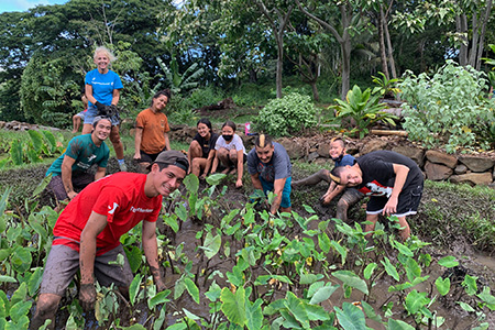 Ulupo-heiau-and-loi-community-volunteer-days-1