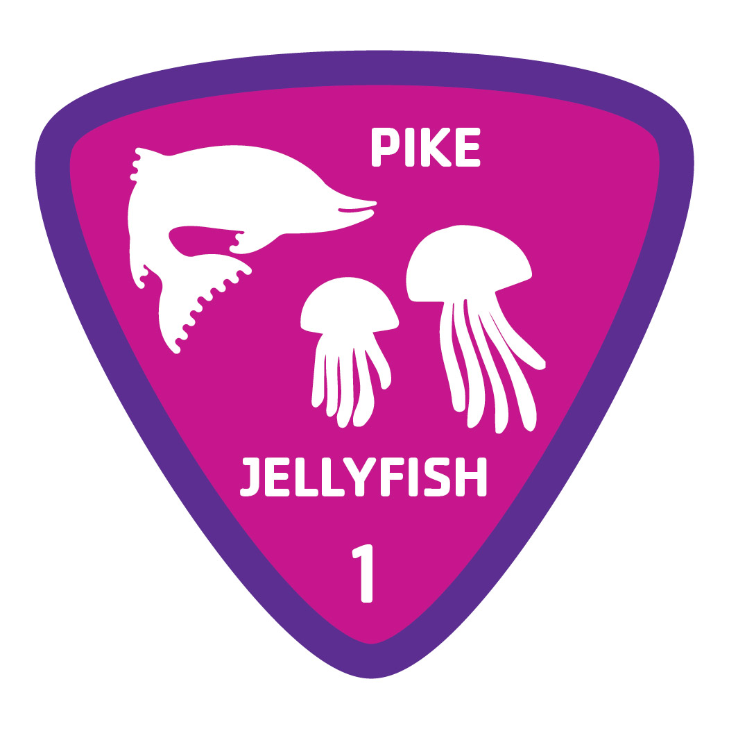 Aquatics-badge-1-pike-jellyfish