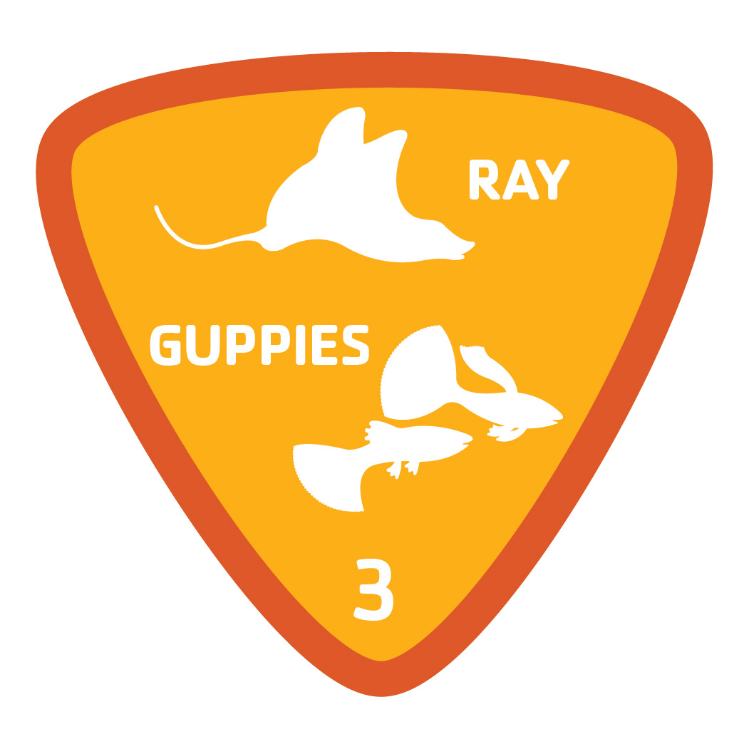 Aquatics-badge-3-ray-guppies