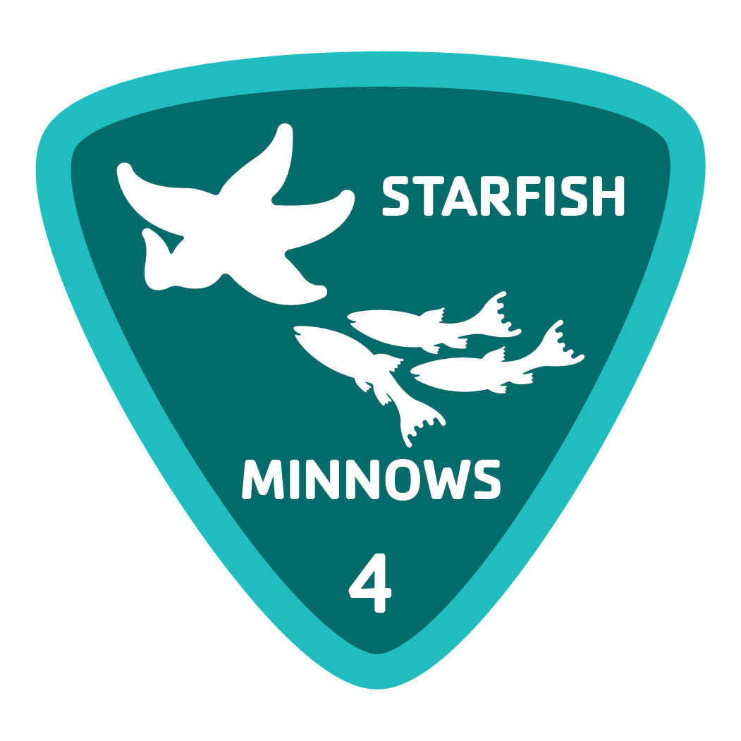 Aquatics-badge-4-starfish-minnows