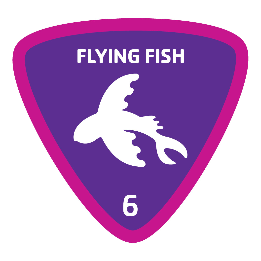 Aquatics-badge-6-flying-fish